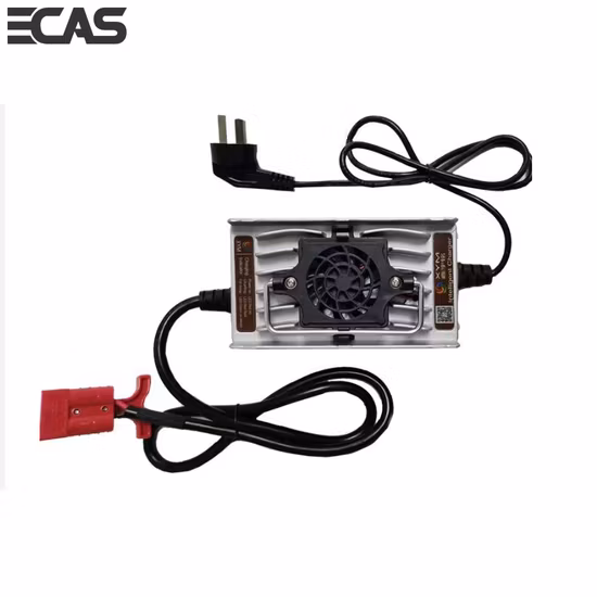 Potencia personalizable 36V12A 48V10A 58.4V10A 120W carrito de golf carretilla elevadora transpaleta V cargador de batería de iones de litio marino